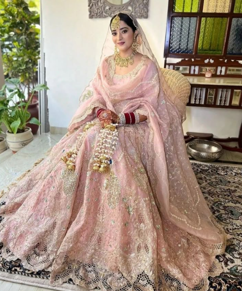 Elegant Blush Pink Embroidered Bridal Lehenga