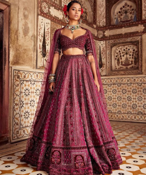 Wine Embellished Net Lehenga