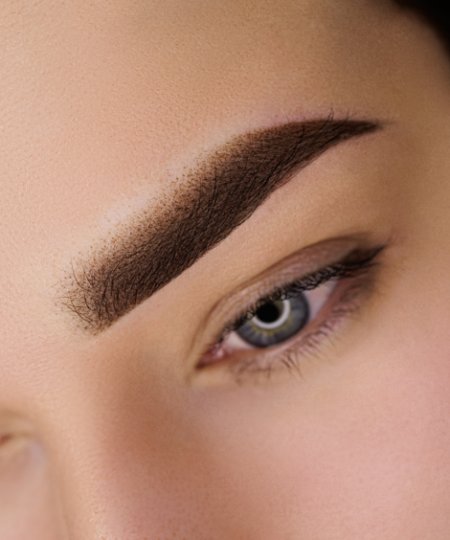 Fill in Brows with Powder or Waterproof Pencils