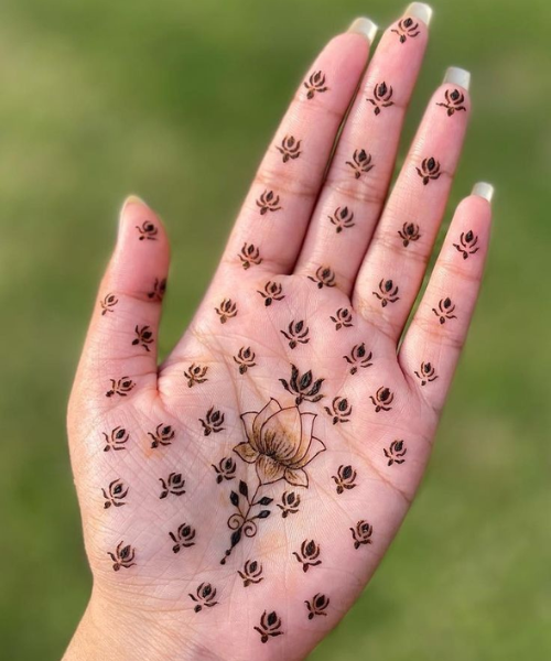 Single Bloom with Petal Patterns