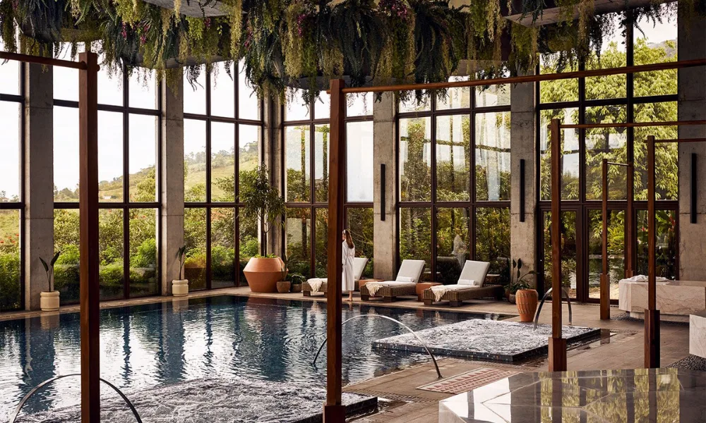 Wellness and Relaxation Retreats